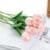 Pink Tulip
