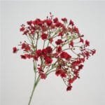 Artificial Flower