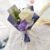 Cream Rose