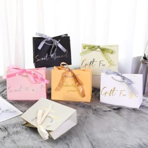 Minimalist Luxury Gift Handbag
