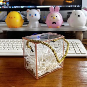 Portable Transparent Handheld Gift Box